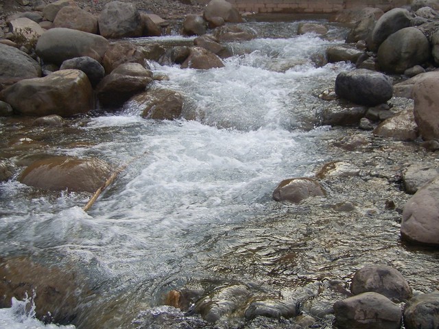 River of Pure Water