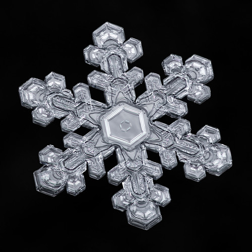 snowflake snow flake ice crystal weather geometry meteorology winter frozen macro focusstacking mpe fractal physics science isolated blackbackground symmetry