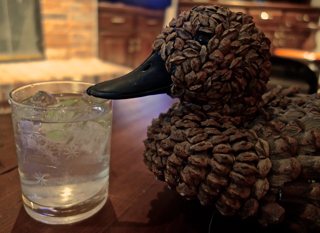 A Pinecone Duck and a Gin and Tonic