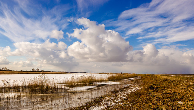 Beautiful nature at Lauwersmeer