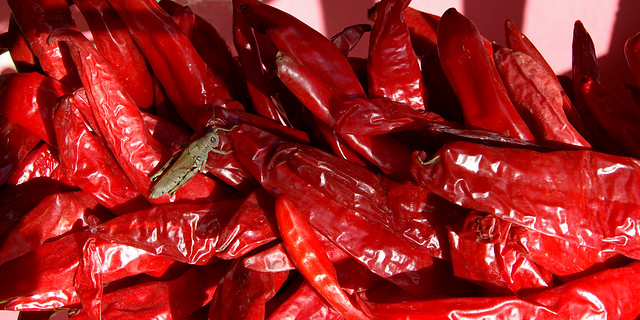 Chile pepper is New Mexico's state vegetable.  USA.