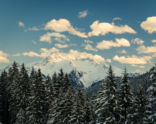 mayrhofen iarna firtree winter alpine fir munte brazi peaks padure sunset peak copaci clouds glow forest snow white alb zapada mountain