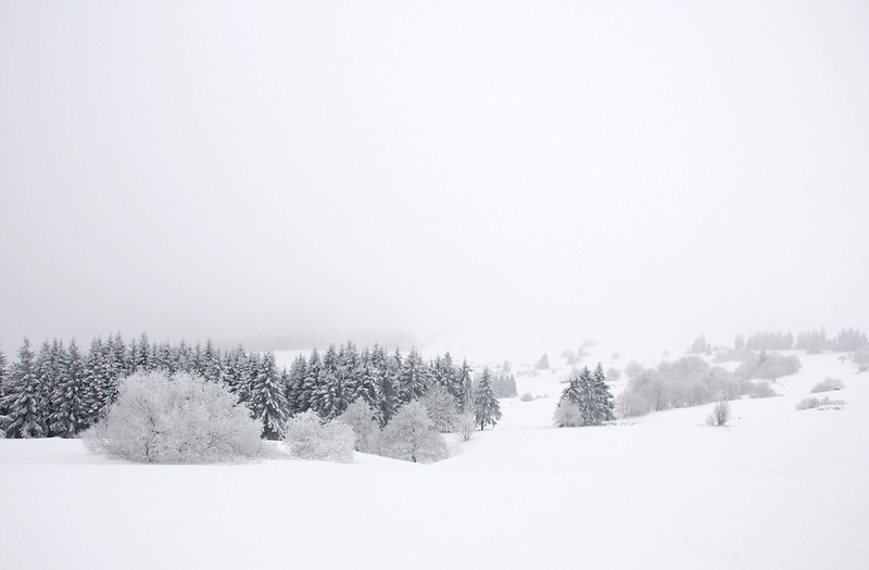 20180121-001F | Winter auf der Wasserkuppe. Rhön, 21.01.2018