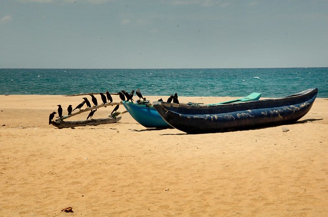 Plage de Batticaloa. Beach of Batticaloa. Sri Lanka