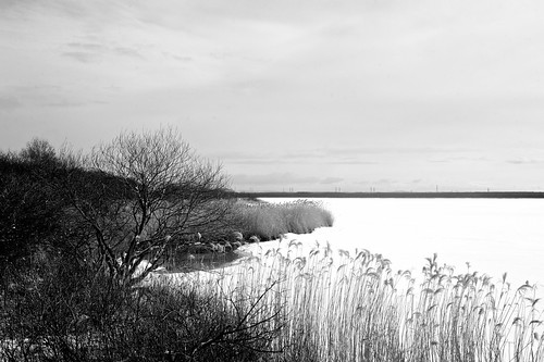 lake frozen winter cold monochrome