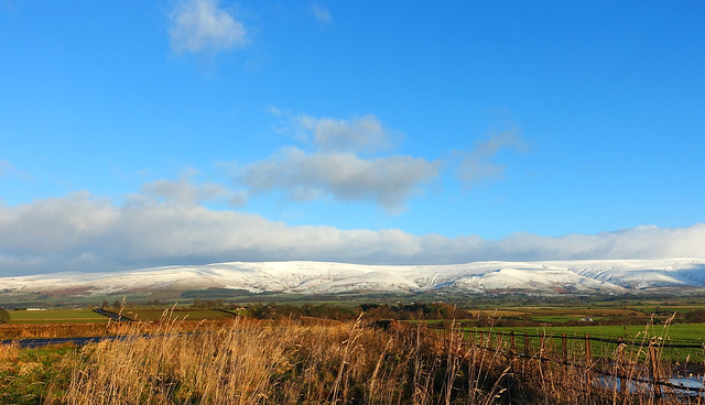 Melmerby Fell and the East Fellside from Skirwith road end.