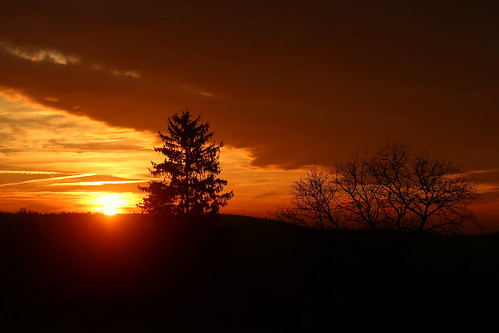 západ slunce sunset sky tree landscape