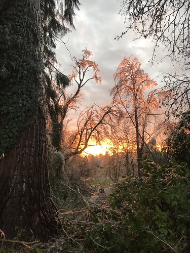 Sunset in Mordor by kellimatthews, We had an ice storm three days ago in Oregon's Willamette Valley and the temp hasn't been high enoug