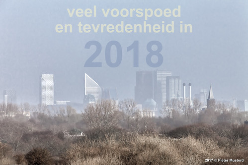 happynewyear 2018 gelukkignieuwjaar pietermusterd musterd canon pmusterdziggonl nederland holland nl canon5dmarkii canon5d denhaag ’sgravenhage skyline