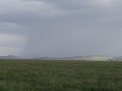 Regen in der Serengeti