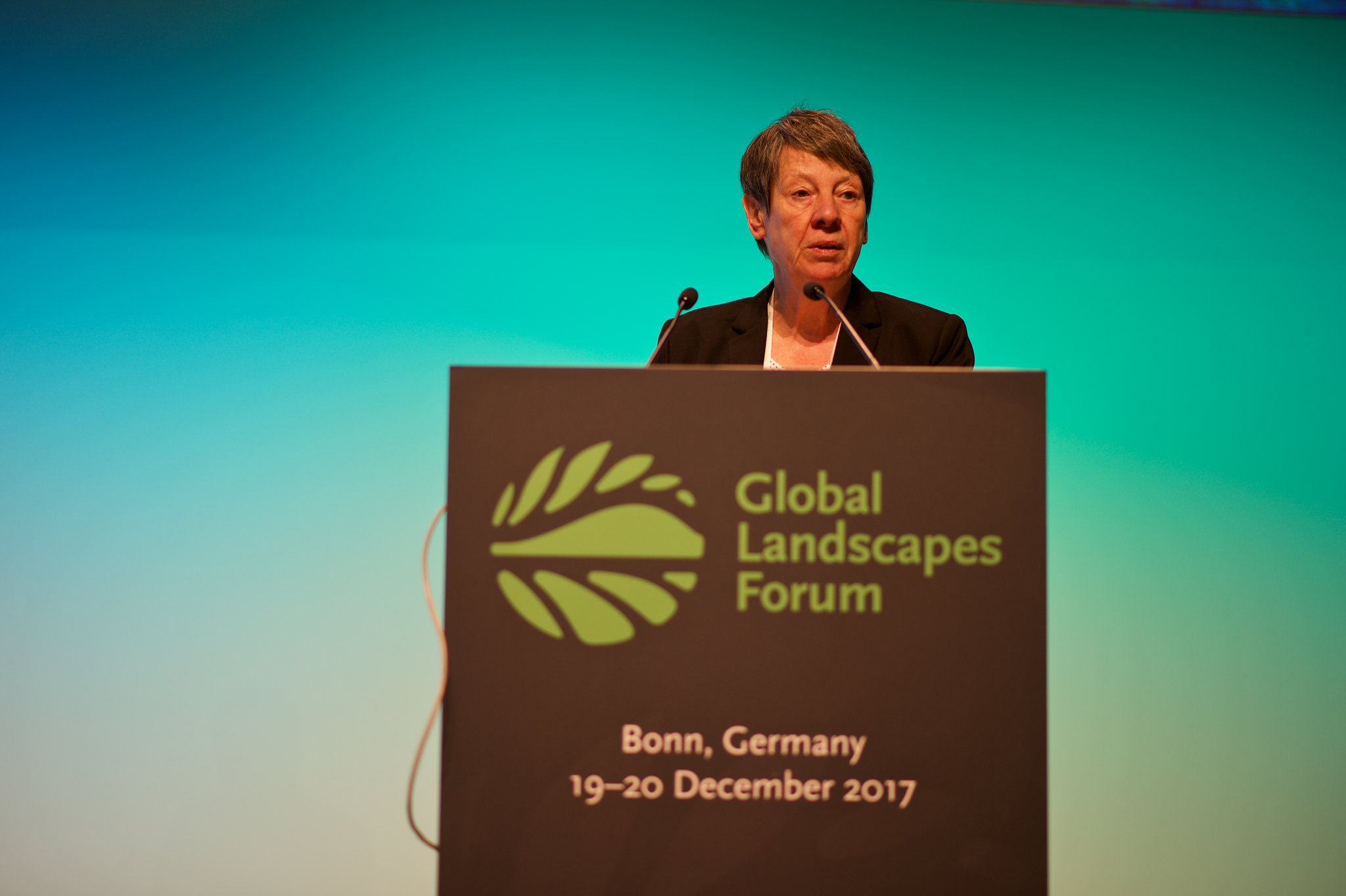 Barbara Hendricks. Federal Minister, German Federal Ministry for the Environment, Nature Conservation, Building and Nuclear Safety (BMUB)