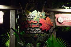 Photo 20 of 25 in the Day 3 - Disney's Animal Kingdom gallery