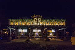 Photo 9 of 10 in the Walt Disney World - Disney's Animal Kingdom on Fri, 01 Dec 2017 gallery