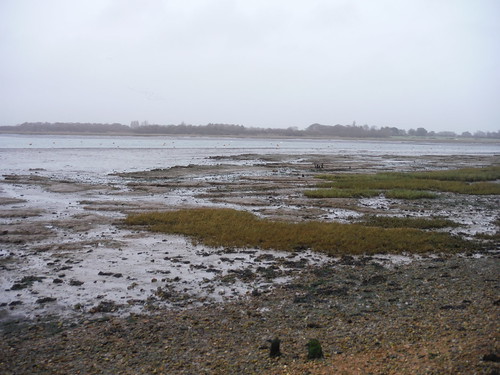Chichester Channel at low tide SWC Walk 167 - New Lipchis Way: Chichester to West Wittering and East Head