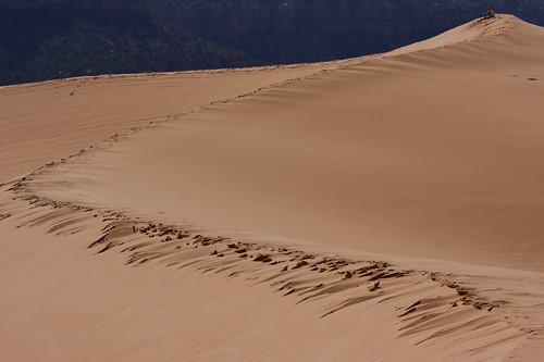 dune sand coralpink footprints