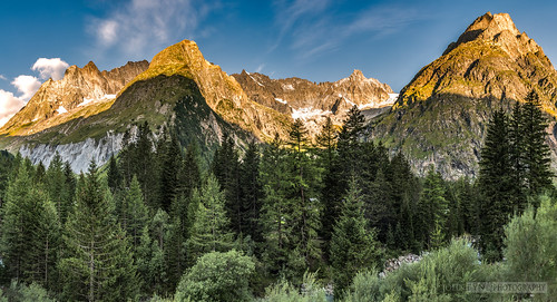 dawn europe green hdr highdynamicrange lafouly morning pano panoramic sunrise switzerland trees alps altitude crag elevation foothills forest glacier hill landscape mountain mountainrange outdoor panorama peak peaks pinetrees range ridge rock sun orsières valais ch