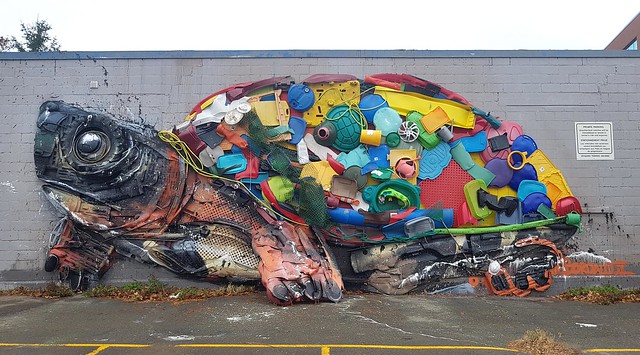 Turtle by artist Bordalo II - Moncton, New Brunswick