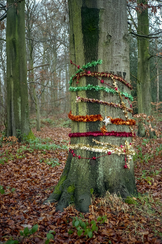 FILM - Christmas tree