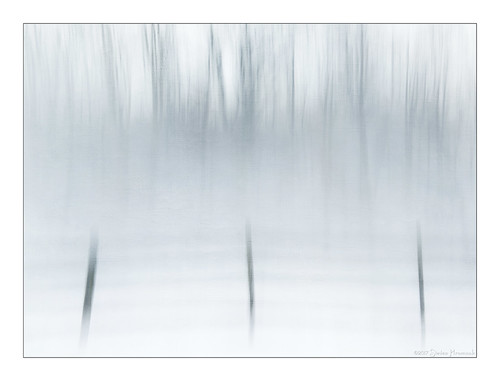 trees winter hff fence field icm blur texture lenabemanna