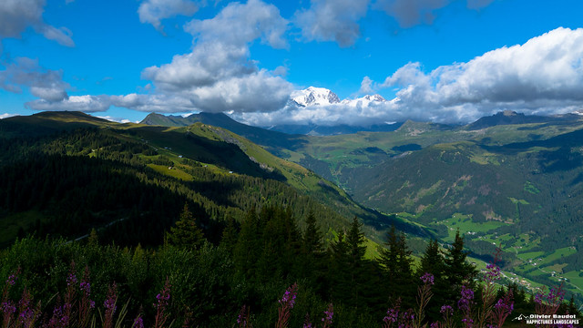 France, Savoie, le Mont blanc, une vue des Saisies