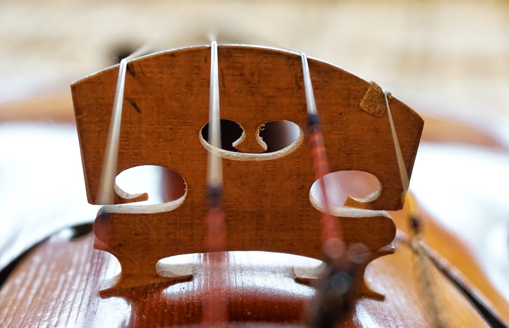 Violin, abridged (HMM!)