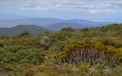 Hartz Peak, Tasmania