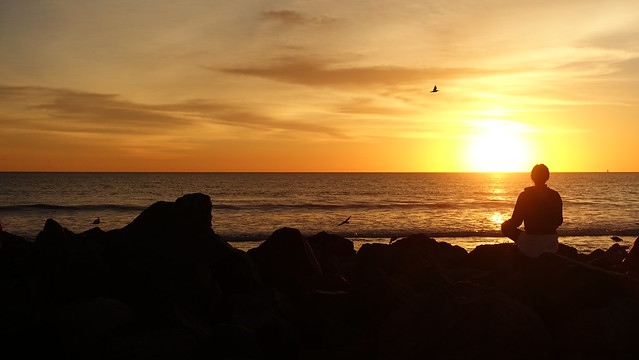 Celebrating Sunset on Coronado Beach, San Diego