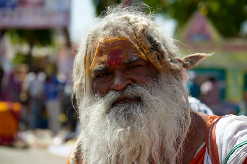 india man beard face portrait indian sadhu holy kumbhamela
