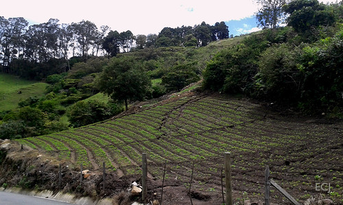 agricultura cielo nubes naturaleza caminata rural cercado carretera vegetación suelo colina montaña