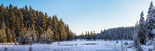 fichtelsee forest trees spruce lake panorama landscape blue sky