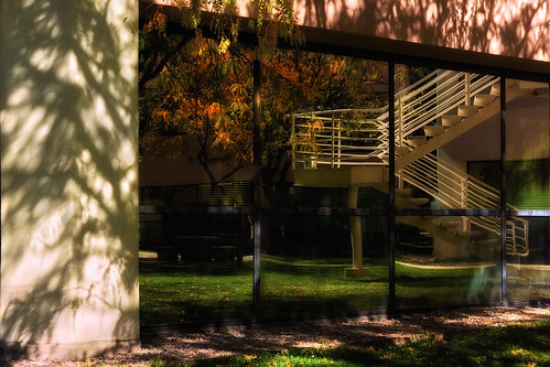 snapseed reflections tree trees shadows outsidework appleiphone7plus cameraapphdr places fence albuquerque newmexico unitedstates us ~~fencefriday~~ hff