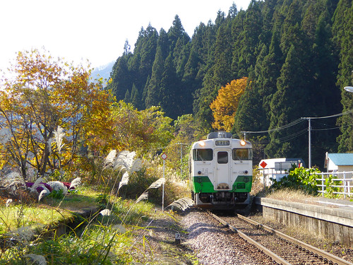 秋の会津西方駅 対向ホーム跡にはざる菊が植えられている