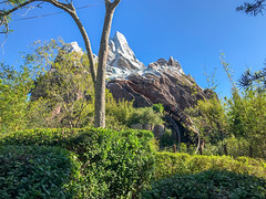 Photo 8 of 25 in the Day 3 - Disney's Animal Kingdom gallery