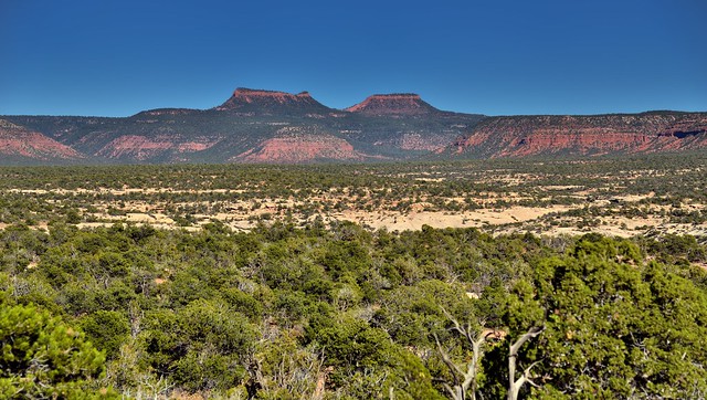 Bears Ears and a National Monument