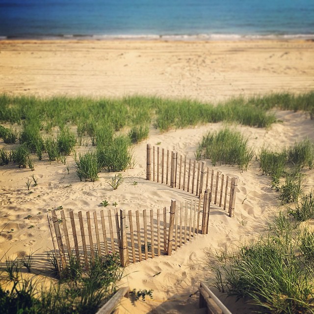 Zig zag. #nantucket #mass #dunes #sand #almostsummer #ocean #sea