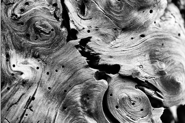 Driftwood texture monochrome