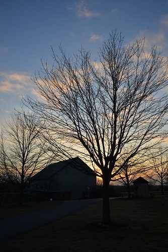 barn trees evening sunset