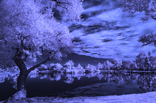 santeelakes infrared ir infraredphotography trees clouds reflections water sky convertedinfraredcamera nature naturalbeauty surreal otherworldly