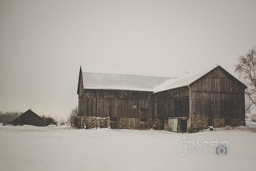 farm farming farmer rural country winter weather snow snowing snowflake barn landscape landscapephotography ontario canada outdoors