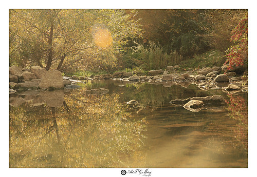 paysage landscape eau water otoño automne autumn amarillo yellow jaune canon arbre tree river rivière