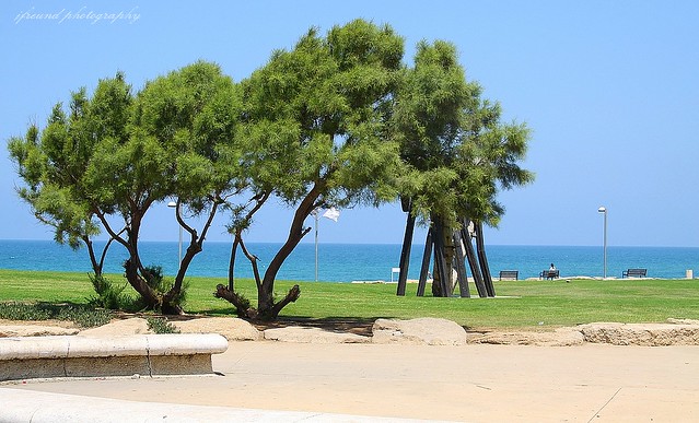 Wonderful seaside of Tel Aviv, Israel