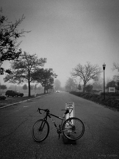 Foggy Commute (iPhone)