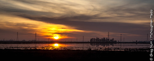 ca sun usa canoneos sunset ricepatties canon5dmarkii sky water marysville fall wildlife landscape