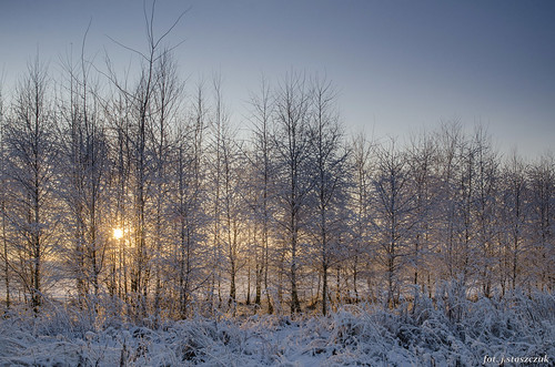 zima winter snow sunset tree brzoza drzewa śnieg s175028 sigma175028 nikond7000 marumigcgray grudzień december krajobraz landscape