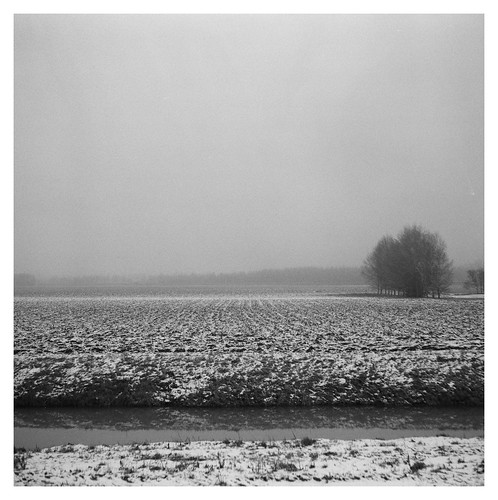 001906010012-1 | by Dmitrij_M