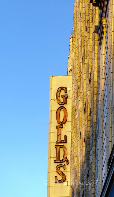 Gold's department store sign in afternoon light