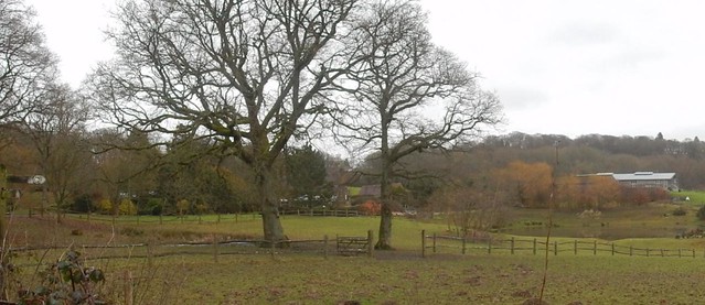 View Wadhurst Circular