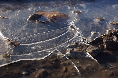 kintore aberdeenshire scotland nature ice frozen water puddle macro closeup