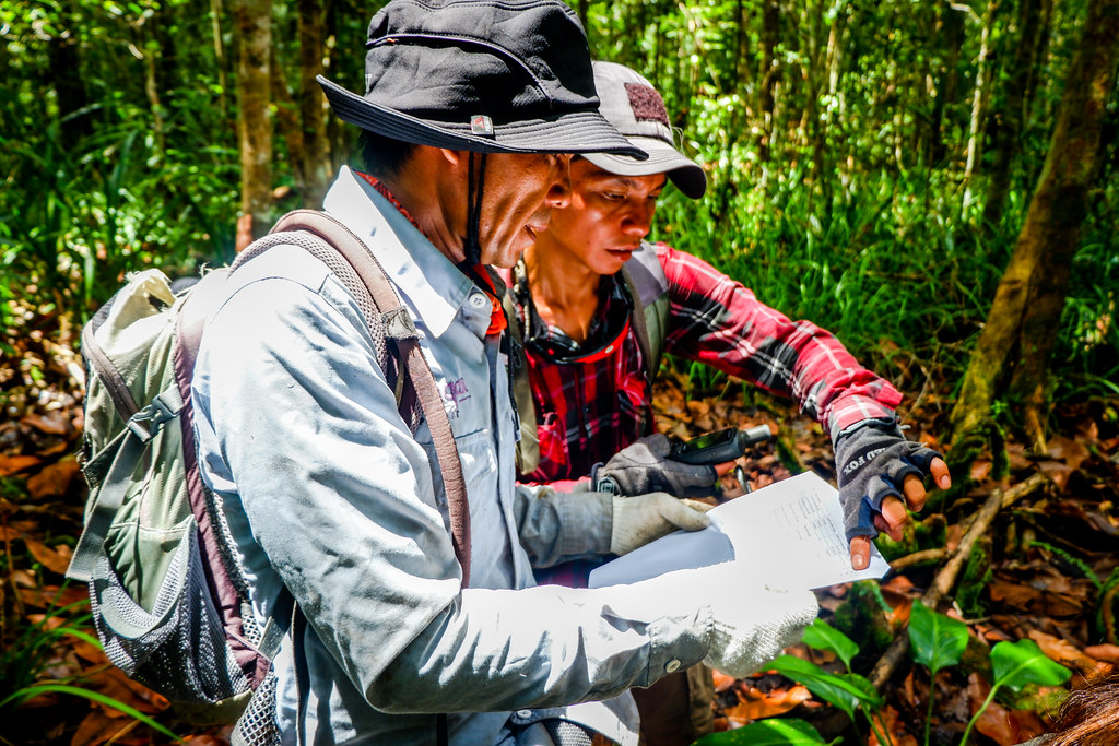 Researchers from PT Rimba Makmur Utama identify the map of sampling plot location during regular monitoring fieldwork of peat surface...
