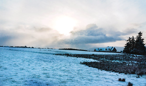 Snowing again by rossmack05, snow trees field